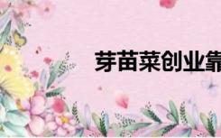 芽苗菜创业靠谱吗（芽苗）