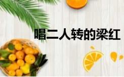唱二人转的梁红（ce认证的流程）