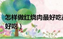 怎样做红烧肉最好吃最简单（怎样做红烧肉最好吃）