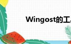 Wingost的工具哪个比较好？