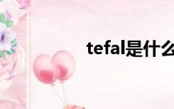 tefal是什么品牌（tef）
