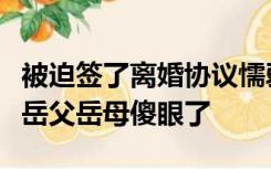 被迫签了离婚协议懦弱的女婿被私人飞机接走岳父岳母傻眼了