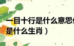 一目十行是什么意思代表什么生肖（一目十行是什么生肖）