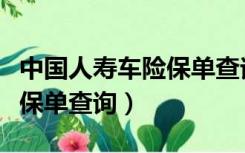中国人寿车险保单查询及下载（中国人寿车险保单查询）