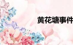 黄花塘事件背后的较量