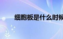 细胞板是什么时候形成的（细胞板）