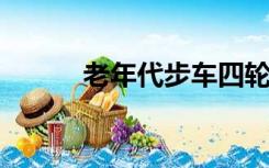 老年代步车四轮电动车品牌排行