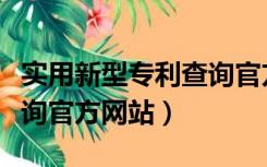 实用新型专利查询官方网站（实用新型专利查询官方网站）