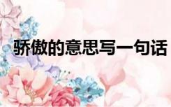 骄傲的意思写一句话（骄傲的意思是什么）