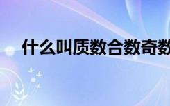 什么叫质数合数奇数偶数（什么叫质数）