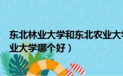 东北林业大学和东北农业大学比较（东北林业大学和东北农业大学哪个好）