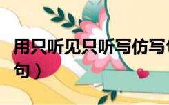 用只听见只听写仿写句子（用只听见只听见造句）