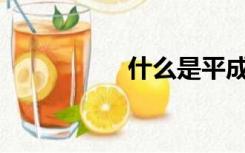 什么是平成假面骑士？