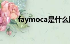 faymoca是什么牌子（faymoca）