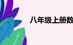八年级上册数学三角测试题