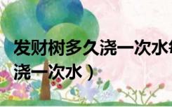 发财树多久浇一次水每次浇多少（发财树多久浇一次水）