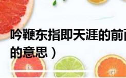 吟鞭东指即天涯的前面一句（吟鞭东指即天涯的意思）