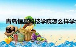 青岛恒星科技学院怎么样学费多少（青岛恒星科技学院怎么样）