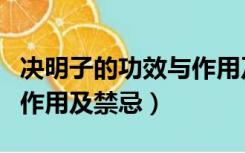 决明子的功效与作用及禁忌（决明子的功效与作用及禁忌）