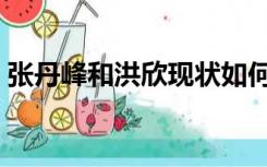 张丹峰和洪欣现状如何（张丹峰和洪欣现状）