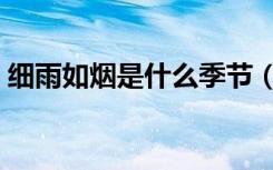 细雨如烟是什么季节（细雨如烟是什么意思）