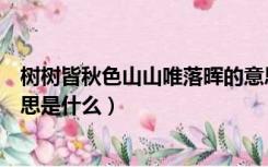 树树皆秋色山山唯落晖的意思（树树皆秋色山山唯落晖的意思是什么）