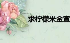 求柠檬米金宣石mp3百度云