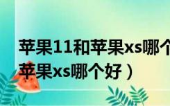 苹果11和苹果xs哪个更值得入手（苹果11和苹果xs哪个好）