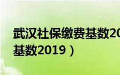 武汉社保缴费基数2022最新（武汉社保缴费基数2019）