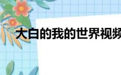 大白的我的世界视频（大白的我的世界）