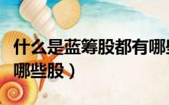 什么是蓝筹股都有哪些股（什么是蓝筹股都有哪些股）