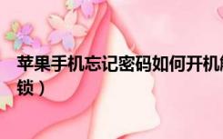 苹果手机忘记密码如何开机解码（苹果手机忘记密码如何解锁）