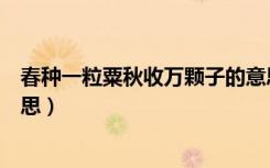春种一粒粟秋收万颗子的意思（春种一粒粟秋收万颗子的意思）