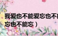 我爱也不能爱忘也不能忘女声（我爱也不能爱忘也不能忘）