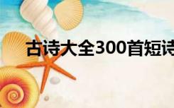 古诗大全300首短诗（古诗大全300首）