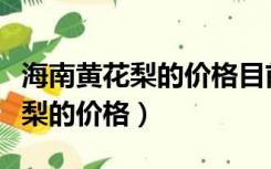 海南黄花梨的价格目前市场价多少（海南黄花梨的价格）