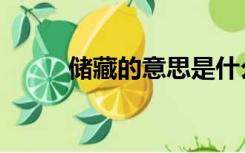 储藏的意思是什么（储藏的意思）