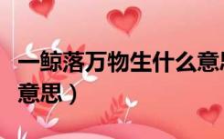 一鲸落万物生什么意思啊（一鲸落万物生什么意思）