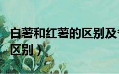 白薯和红薯的区别及各自功效（白薯和红薯的区别）