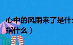 心中的风雨来了是什么修辞手法（心中的风雨指什么）