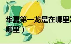 华夏第一龙是在哪里发现的（华夏第一龙是在哪里）