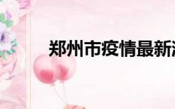 郑州市疫情最新消息（郑爽综艺）