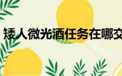 矮人微光酒任务在哪交（微光酒任务在哪交）