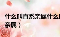 什么叫直系亲属什么叫旁系亲属（什么叫直系亲属）