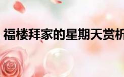 福楼拜家的星期天赏析（福楼拜家的星期天）