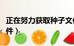 正在努力获取种子文件（正在努力获取种子文件）