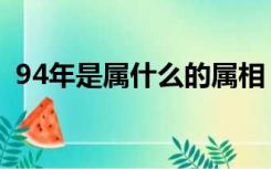 94年是属什么的属相（94年是属什么生肖）