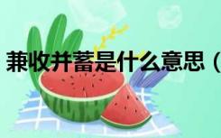 兼收并蓄是什么意思（兼收并蓄是什么意思）