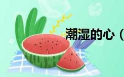潮湿的心（潮信刷单）