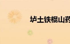 垆土铁棍山药直播（垆土）